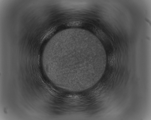 X0000097660735200803280950