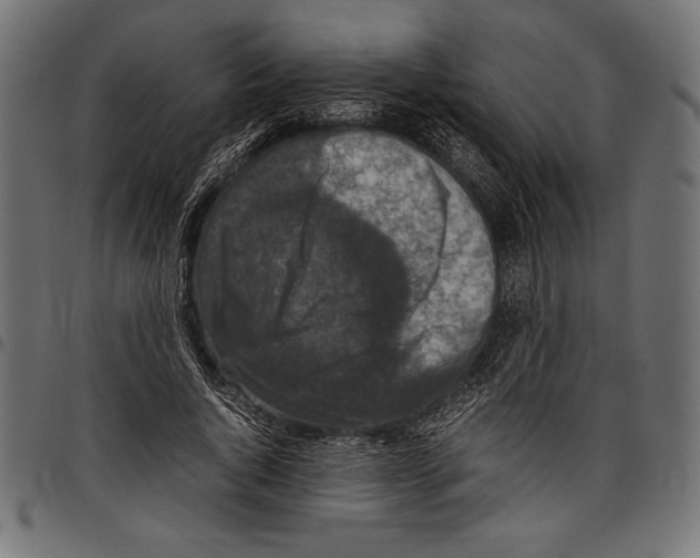 X0000097660736200803280950