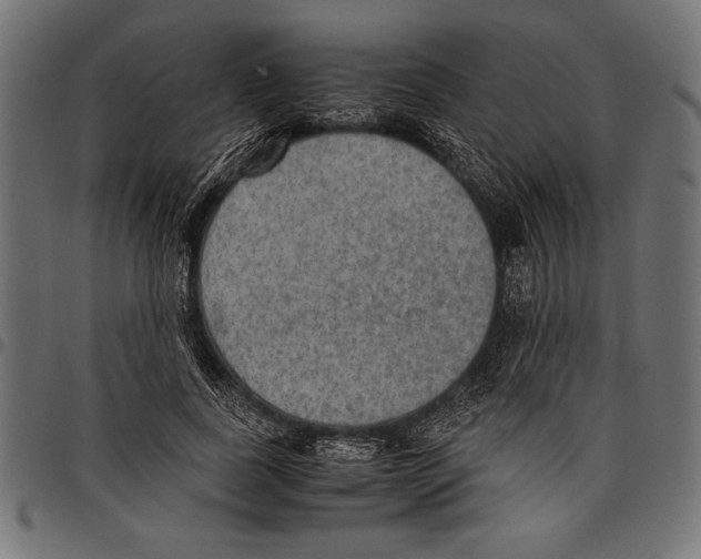 X0000097660739200803280950