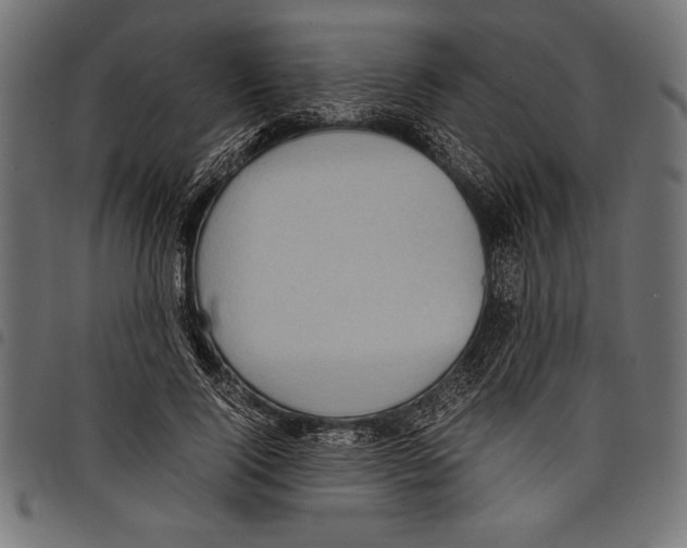 X0000097660740200803280950
