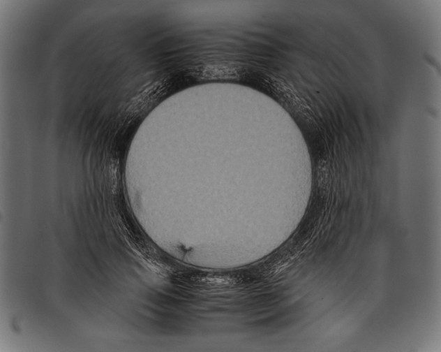X0000097660741200803280950