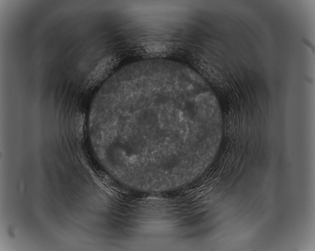 X0000097660742200803280950