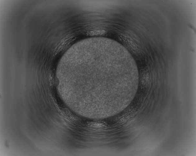 X0000097660743200803280950