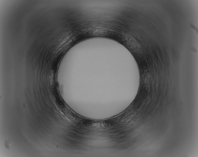 X0000097660744200803280950