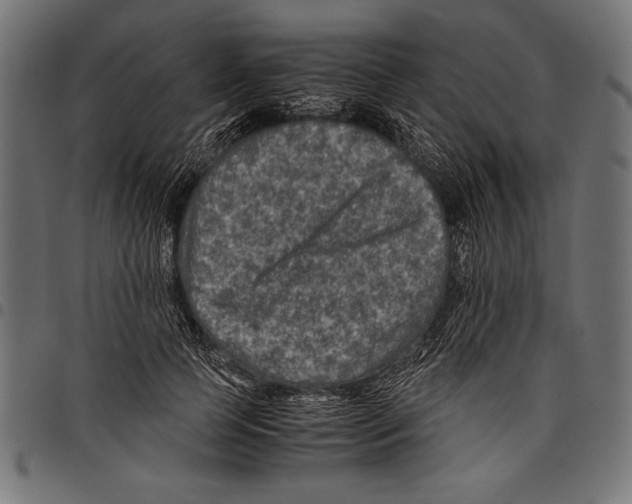 X0000097660745200803280950
