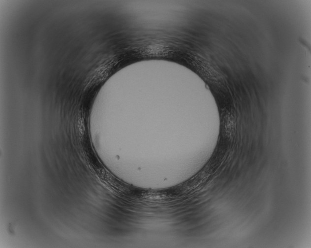 X0000097660746200803280950