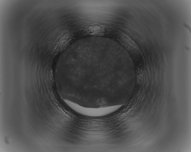 X0000097660748200803280950