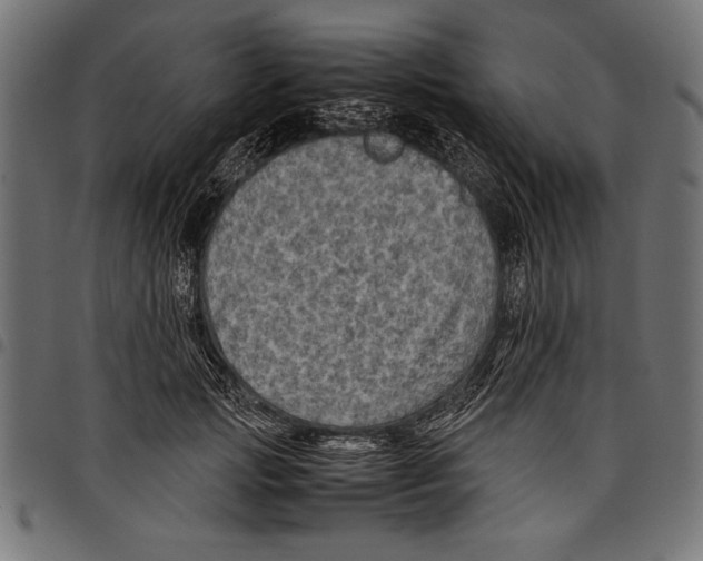 X0000097660749200803280951