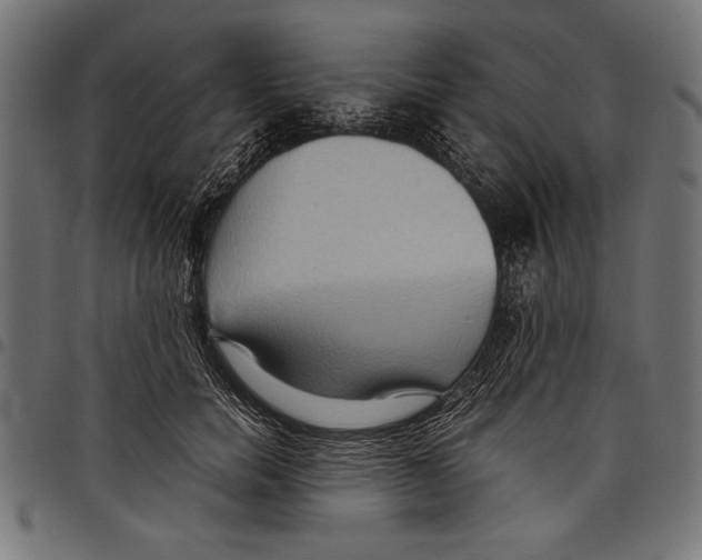 X0000097660750200803280951
