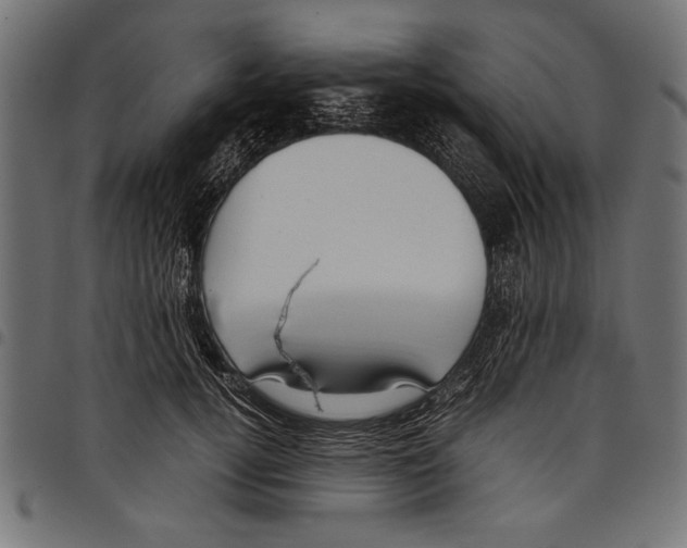 X0000097660752200803280951
