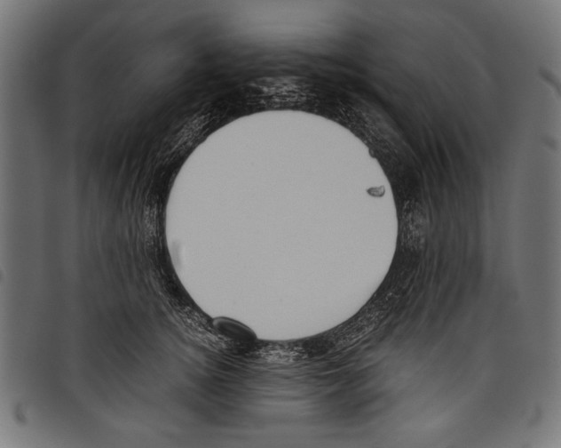X0000097660756200803280951