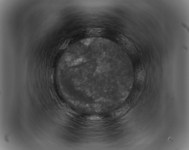 X0000097660759200803280951