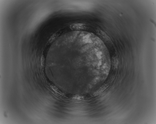 X0000097660760200803280951