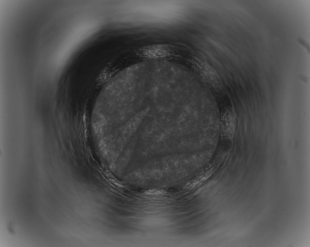 X0000097660762200803280951