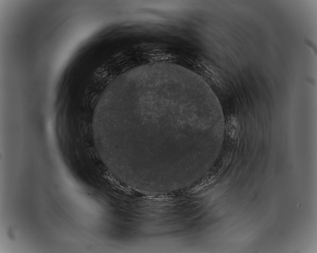 X0000097660763200803280951