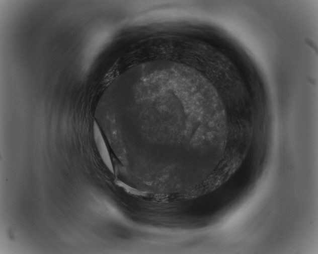 X0000097660766200803280951