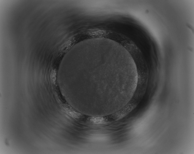 X0000097660767200803280951