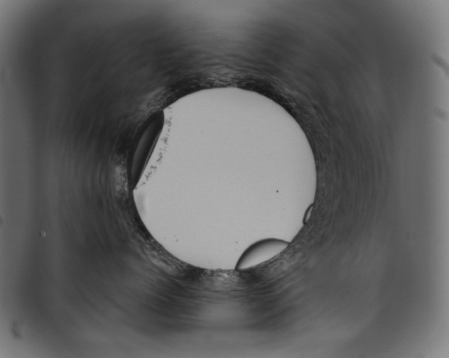 X0000097660768200803280951
