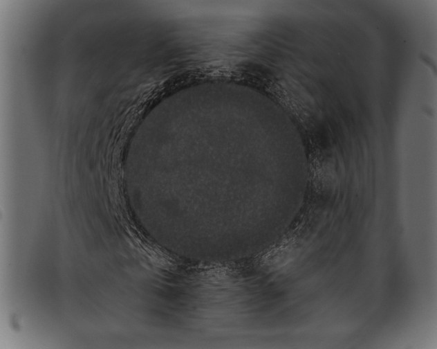X0000097660769200803280950