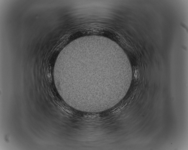 X0000097660771200803280950