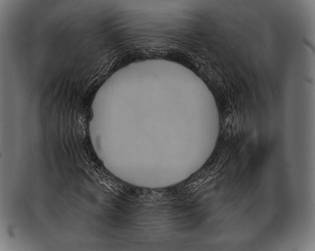 X0000097660772200803280950