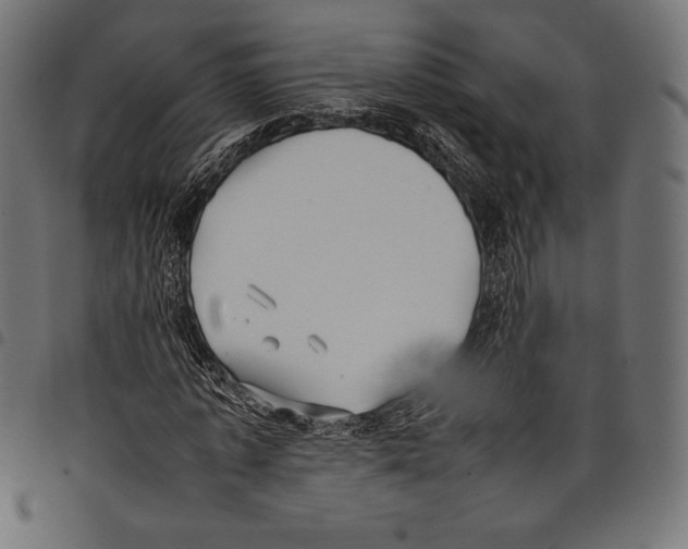 X0000097660773200803280950