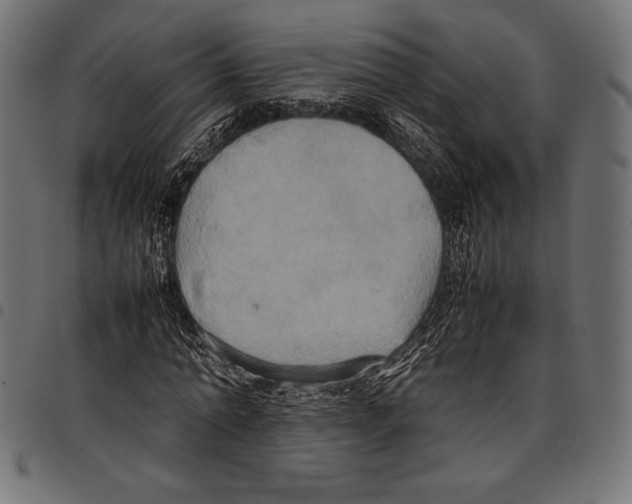 X0000097660774200803280950