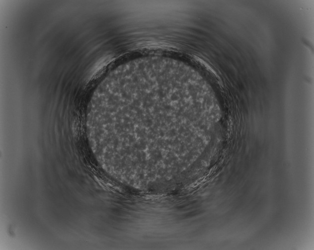 X0000097660775200803280950