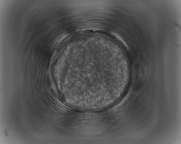 X0000097660777200803280950