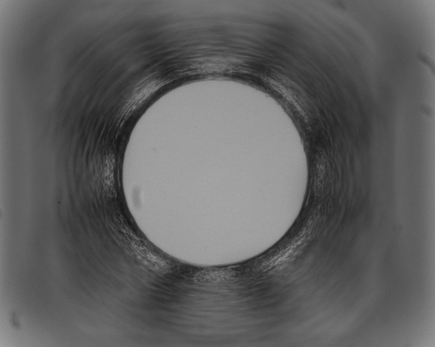 X0000097660778200803280950