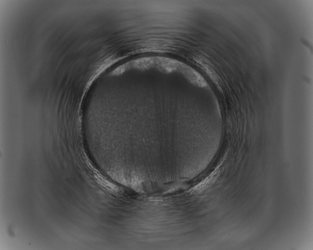 X0000097660779200803280950