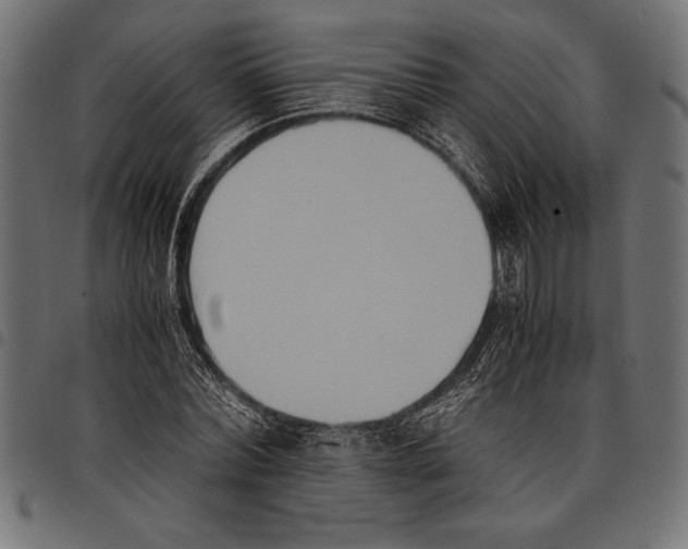 X0000097660780200803280950