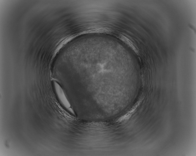 X0000097660781200803280950