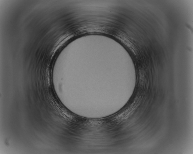 X0000097660782200803280950