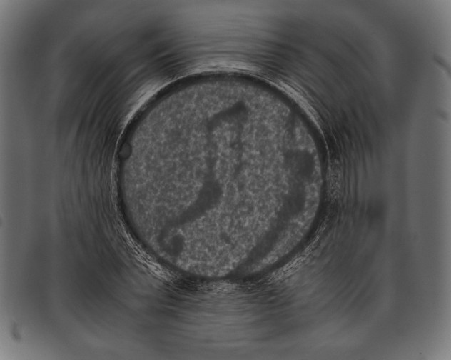 X0000097660783200803280950