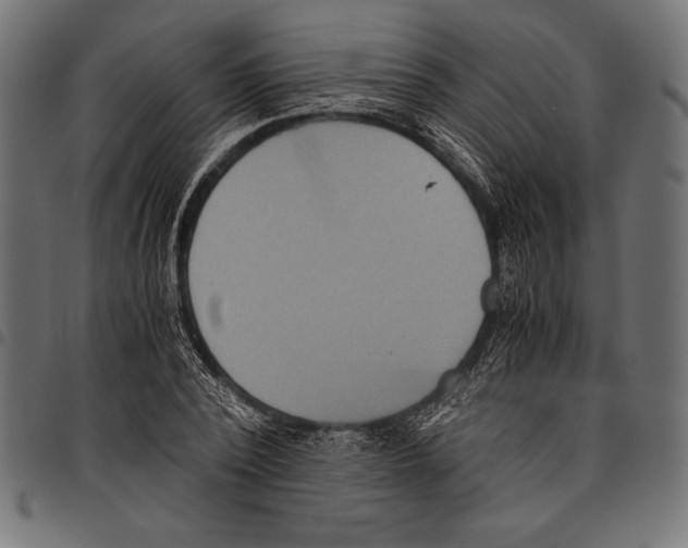 X0000097660784200803280950