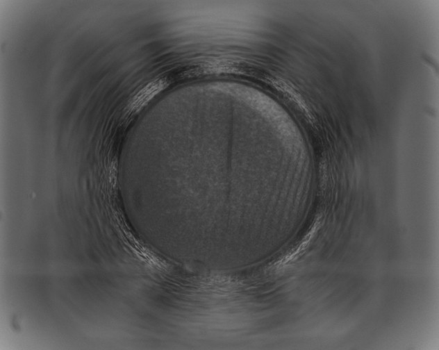 X0000097660785200803280950