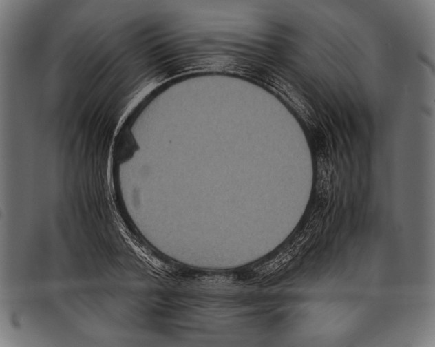 X0000097660788200803280950