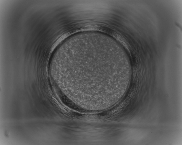 X0000097660789200803280950