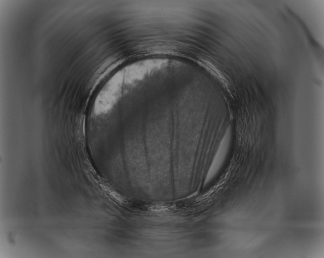 X0000097660790200803280950