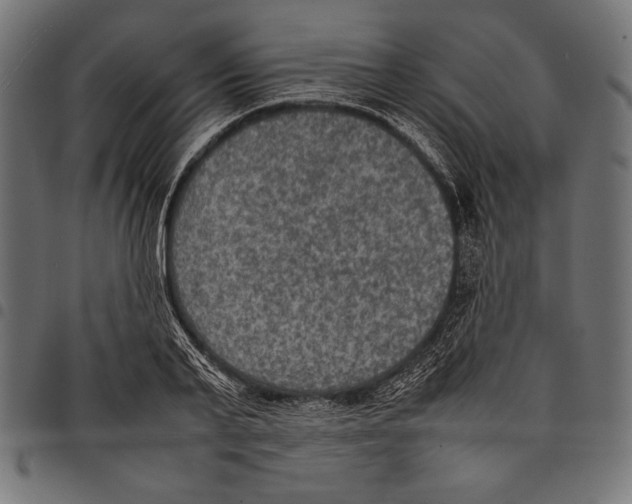X0000097660791200803280950