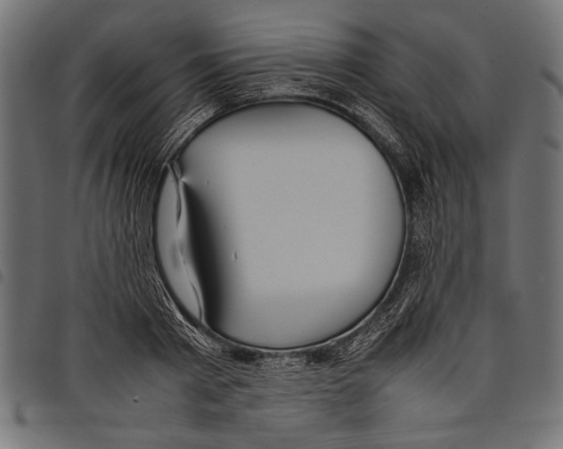 X0000097660793200803280950