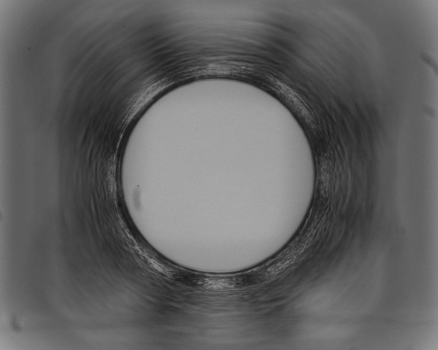 X0000097660794200803280950