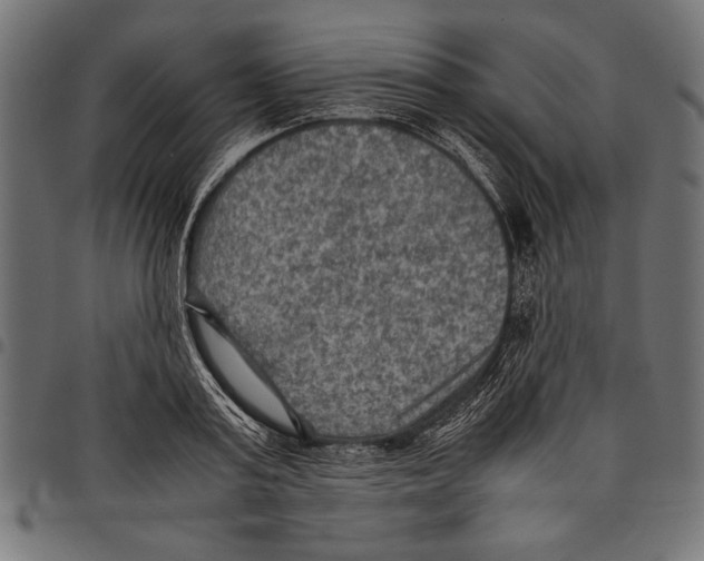 X0000097660795200803280950