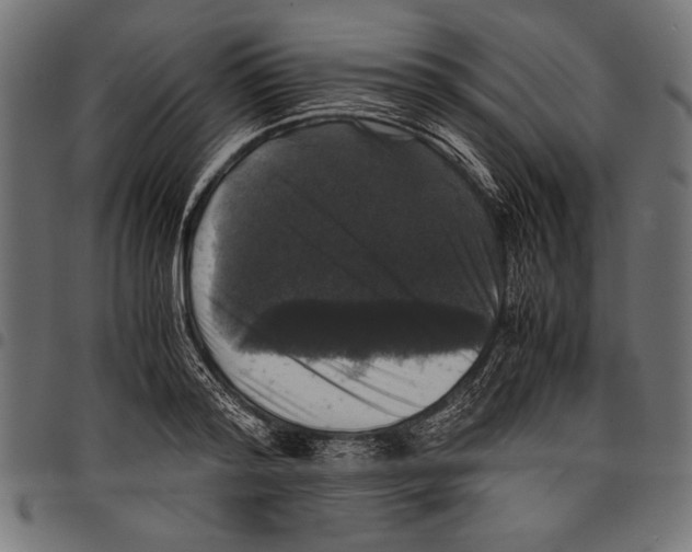 X0000097660796200803280950