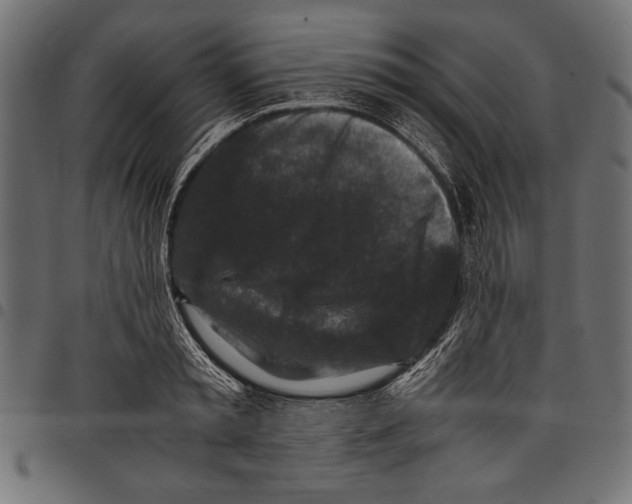 X0000097660797200803280950