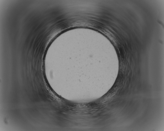 X0000097660799200803280950