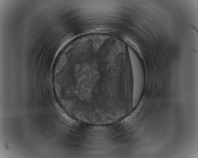 X0000097660800200803280950