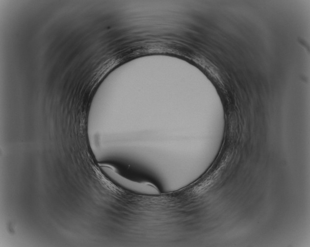 X0000097660801200803280950