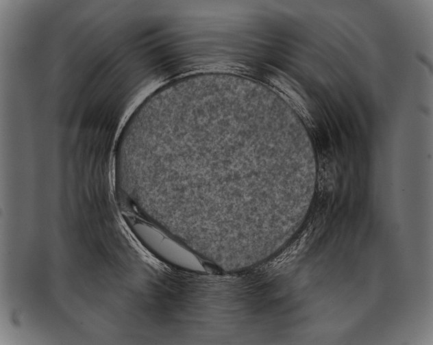 X0000097660804200803280950